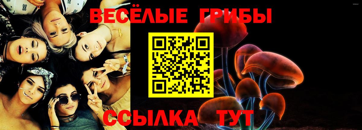 Галлюциногенные грибы прущие грибы Удомля