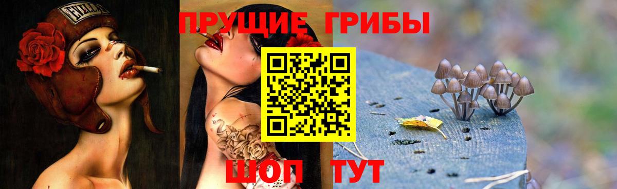 Удомля  Галлюциногенные грибы Psilocybine cubensis  Вход с VPN 